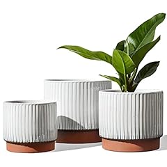 Tauci ceramic pots for sale  Delivered anywhere in USA 