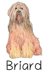 Briard cute watercolor for sale  Delivered anywhere in UK