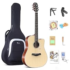 Rosen n10 akustikgitarre gebraucht kaufen  Wird an jeden Ort in Deutschland