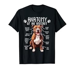 Funny anatomy american for sale  Delivered anywhere in USA 