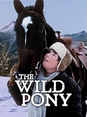 Wild pony for sale  Delivered anywhere in USA 