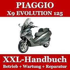 Piaggio evolution 125 gebraucht kaufen  Wird an jeden Ort in Deutschland