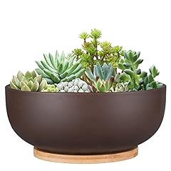 Used, Thirtypot 25CM Terracotta Planter, Large Succulent for sale  Delivered anywhere in UK