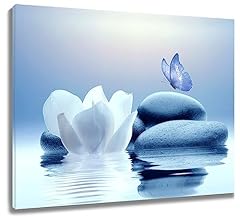 Eobtain zen water for sale  Delivered anywhere in USA 