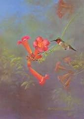 Owen gromme hummingbird for sale  Delivered anywhere in USA 