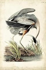 Art.com wall art for sale  Delivered anywhere in USA 