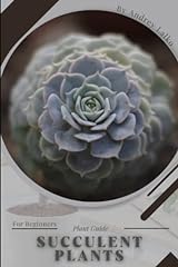 Succulent plants plant for sale  Delivered anywhere in USA 