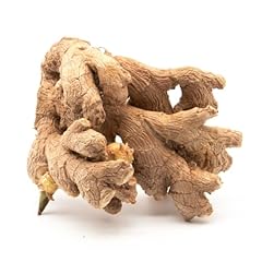 Live sprouted rhizomes for sale  Delivered anywhere in USA 
