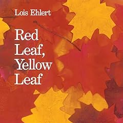 Red leaf yellow for sale  Delivered anywhere in USA 