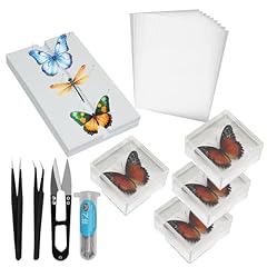 Insect specimen tools for sale  Delivered anywhere in UK