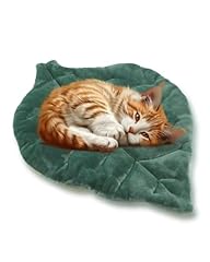 Rzxlszy cat mat for sale  Delivered anywhere in USA 