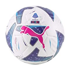 Vannisport pallone palla usato  Spedito ovunque in Italia 