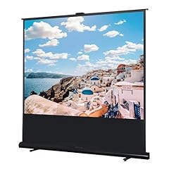 Mosegor beamer leinwand gebraucht kaufen  Wird an jeden Ort in Deutschland