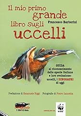 Mio primo grande usato  Spedito ovunque in Italia 