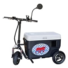 Cruzin cooler czhb for sale  Delivered anywhere in USA 