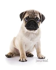 Journal pug puppy for sale  Delivered anywhere in UK