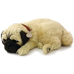 Perfect petzzz pug for sale  Delivered anywhere in UK
