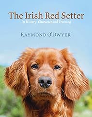 Irish red setter for sale  Delivered anywhere in Ireland