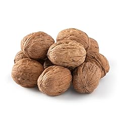 Nuts walnuts shell for sale  Delivered anywhere in USA 