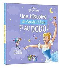 Disney princesses histoire d'occasion  Livré partout en France