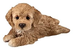 Pacific trading cockapoo for sale  Delivered anywhere in USA 