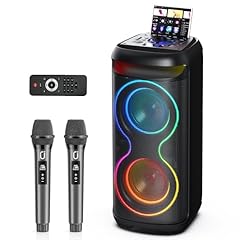 Hwwr karaoke professionale usato  Spedito ovunque in Italia 