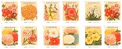 Vintage seed packets for sale  Delivered anywhere in USA 