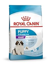 Royal canin giant usato  Spedito ovunque in Italia 