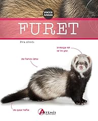 Furet d'occasion  Livré partout en Belgiqu