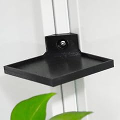 Piaolgyi corner plant for sale  Delivered anywhere in USA 