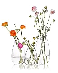 Casamotion vase set for sale  Delivered anywhere in USA 