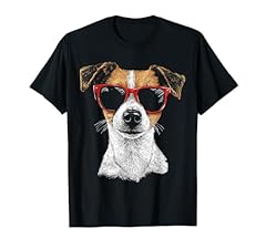 Jack russell terrier usato  Spedito ovunque in Italia 
