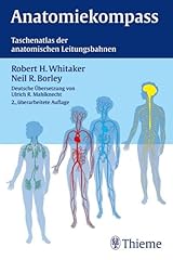 Anatomiekompaß taschenatlas a gebraucht kaufen  Wird an jeden Ort in Deutschland