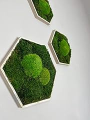 Moosbild hexagon holz gebraucht kaufen  Wird an jeden Ort in Deutschland