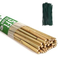 Swangsa pack bamboo for sale  Delivered anywhere in USA 
