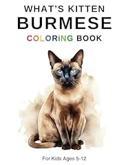 Whats kitten burmese for sale  Delivered anywhere in Ireland