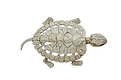 Turtle skeleton for sale  Delivered anywhere in USA 