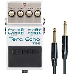 Boss tera echo gebraucht kaufen  Wird an jeden Ort in Deutschland