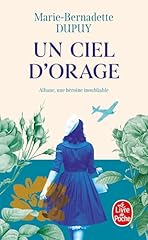 Ciel orage d'occasion  Livré partout en France
