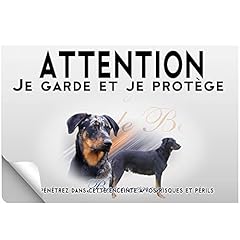 Pets easy attenzione usato  Spedito ovunque in Italia 