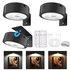 Tututry picture lights for sale  Delivered anywhere in USA 