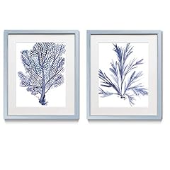 Renditions gallery aquatic for sale  Delivered anywhere in USA 
