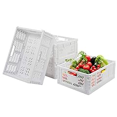 Phyllia baskets plastic for sale  Delivered anywhere in USA 