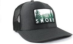Smoky mountain national for sale  Delivered anywhere in USA 