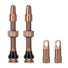 2pezzi bike tubeless usato  Spedito ovunque in Italia 