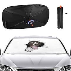 Hiseng parasole auto usato  Spedito ovunque in Italia 