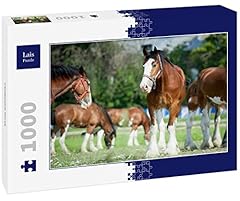 Lais puzzle clydesdale for sale  Delivered anywhere in Ireland