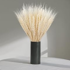 Sukh white dried for sale  Delivered anywhere in USA 