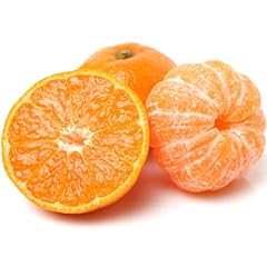 Clementine satsuma citrus for sale  Delivered anywhere in UK