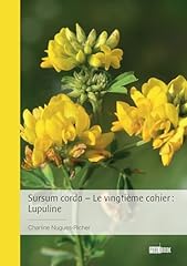 Sursum corda vingtième gebraucht kaufen  Wird an jeden Ort in Deutschland